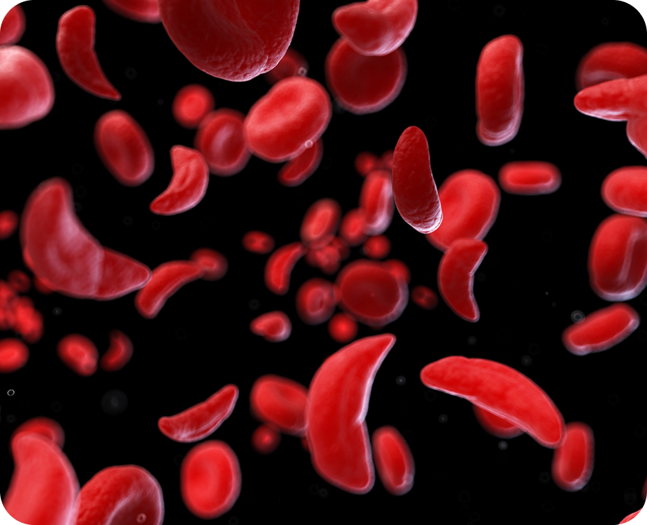 Blood Disorders