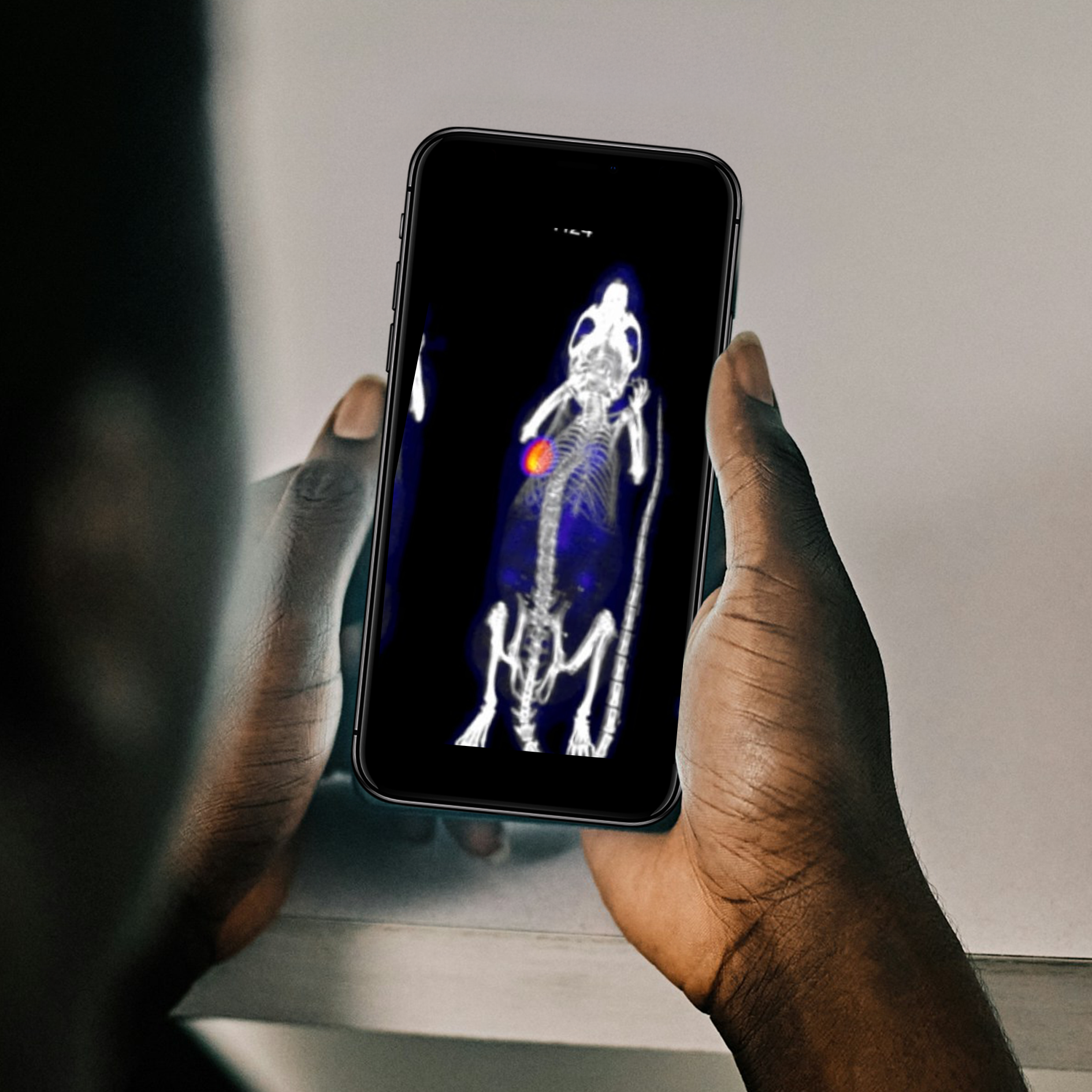 From Bench to Bedside: Preclinical Best Practices in Radioligand Therapy Development