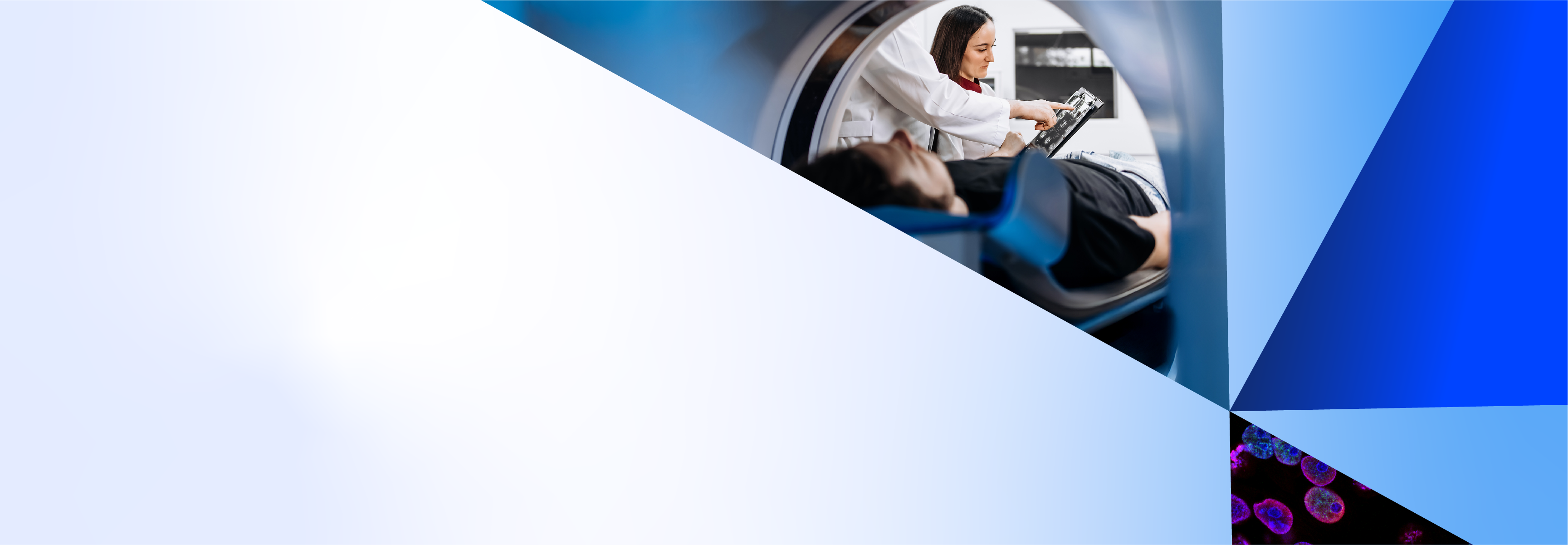 PSMA-PET-Header