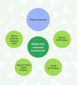 In addition to using imaging to evaluate plasmacytoma changes, multiple myeloma trials require the evaluation of multiple lab parameters, including serum M-protein, urine M-Protein, serum free light chain, and bone marrow plasma cells to determine treatment response