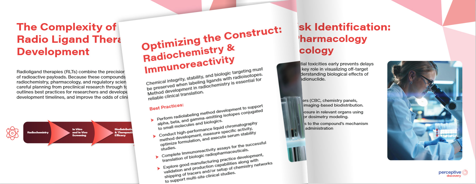 Best Practices for Preclinical to Clinical Translation in RLT