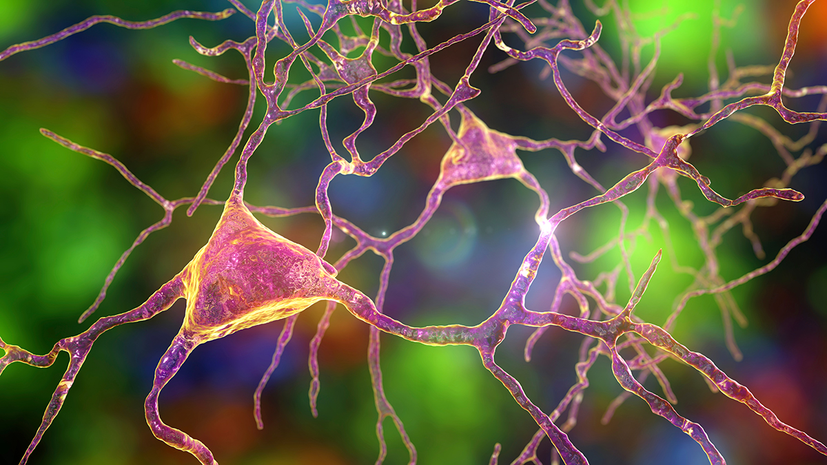 Preclinical and Translational Neuroimaging Study Reveals Mitochondrial Dysfunction in ALS