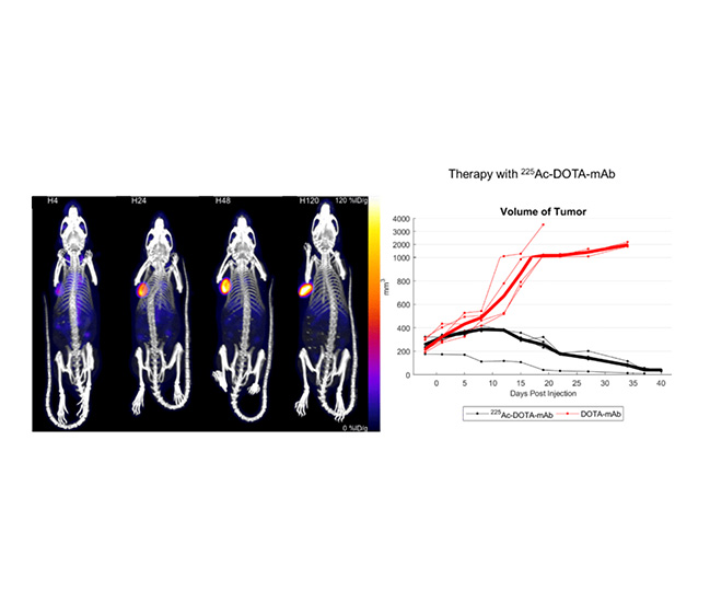 acdotamab therapy v2